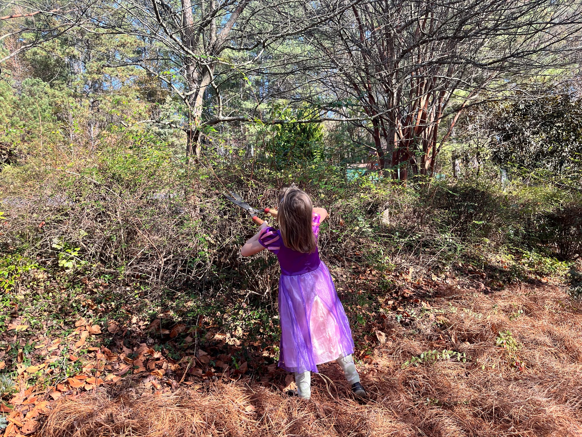 Of Self-Employment, Mailboxes & Minivans