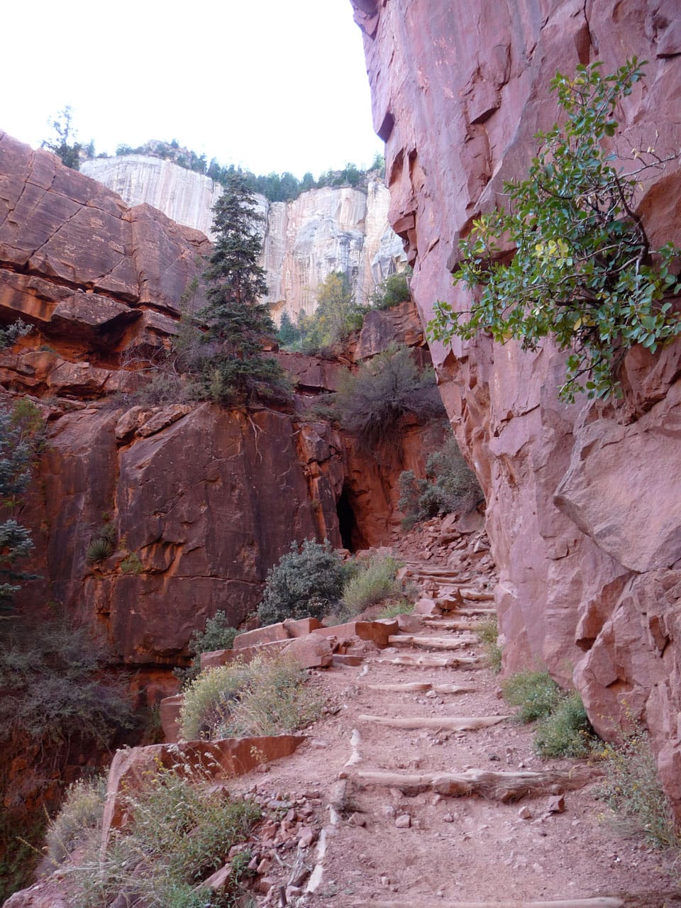 Reflections on a Grand Canyon Rim-to-Rim-to-Rim
