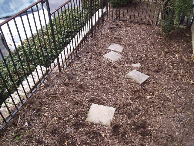 Private Courtyard with Stepping Stones