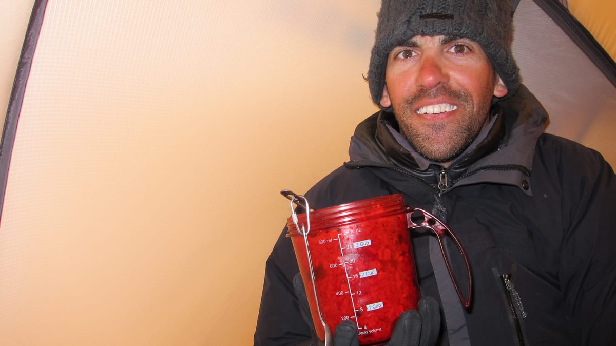 Mt. McKinley (2011) - Day 10