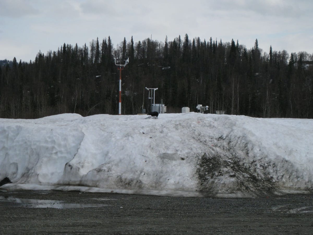 Mt. McKinley (2008) - Day 03