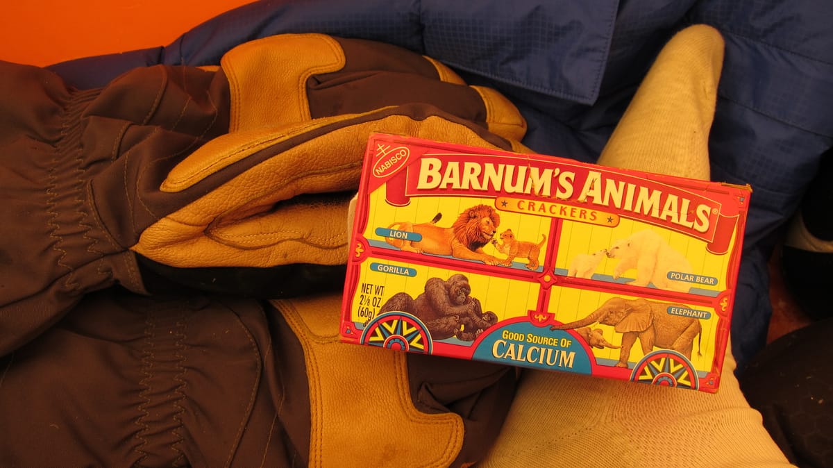 Mt. McKinley (2011) - Day 19