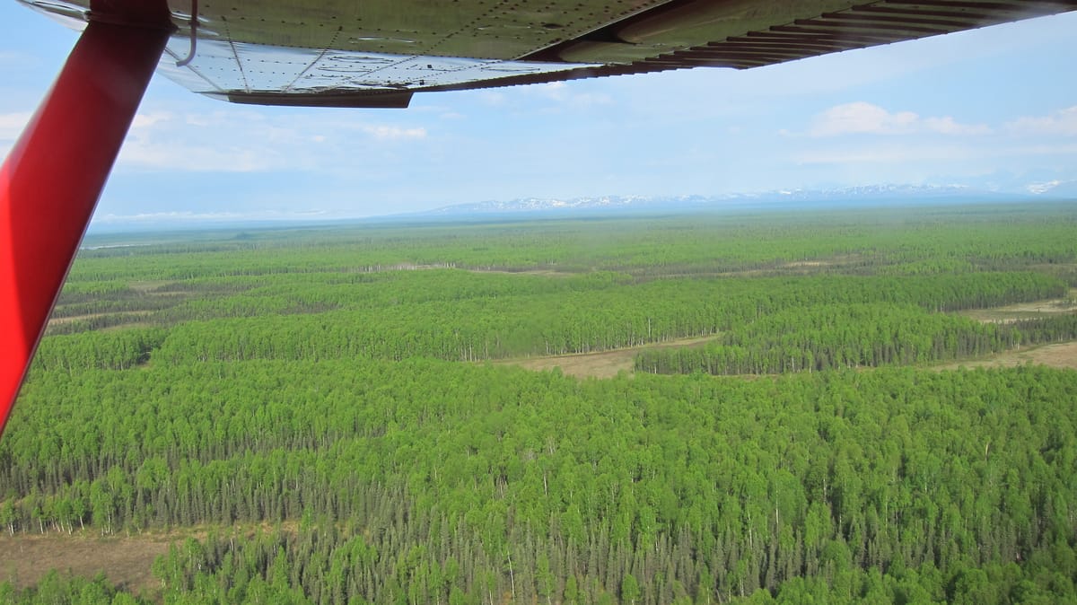 Mt. McKinley (2011) - Day 22