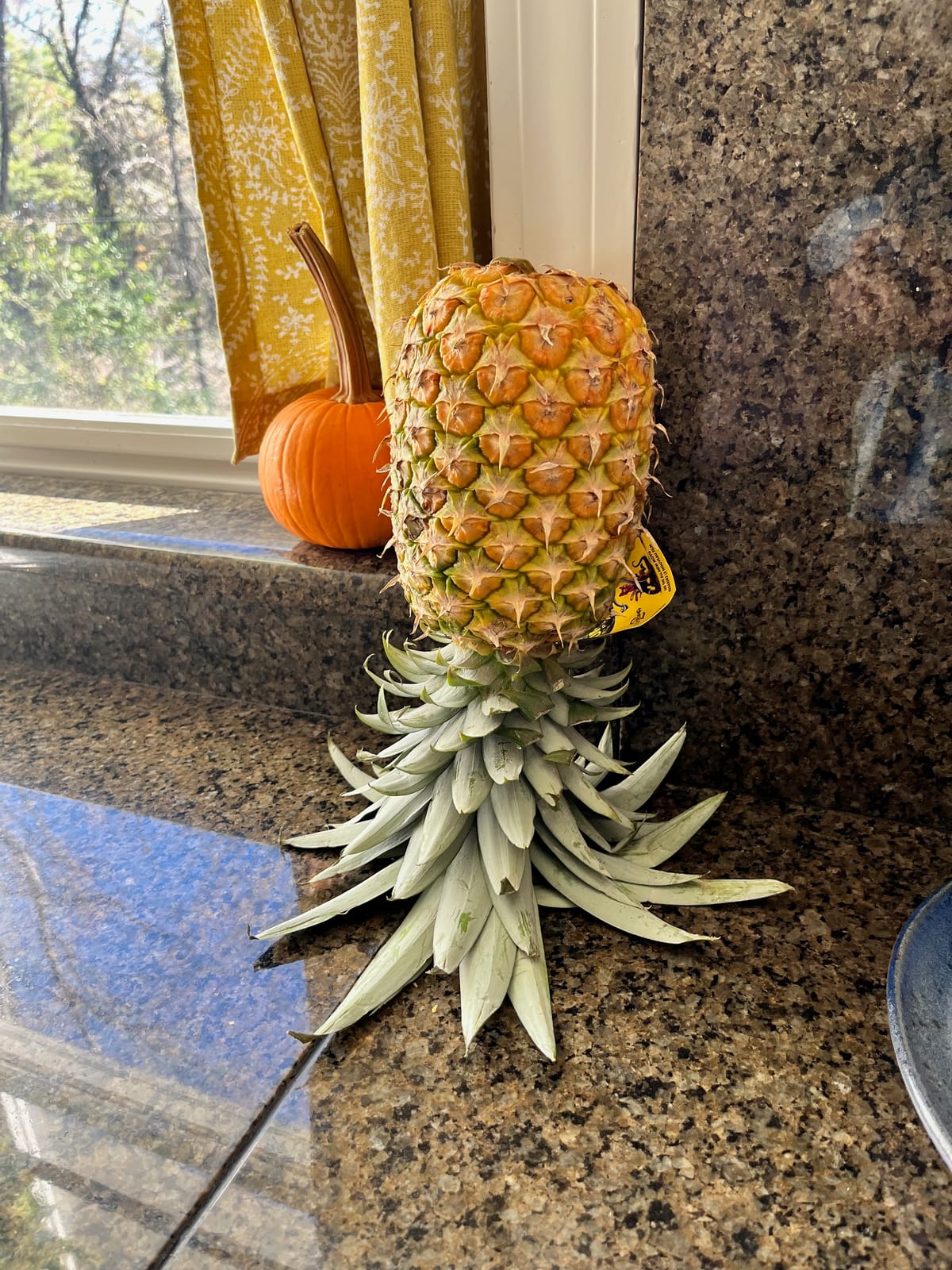 Pineapple Upside Down Cake