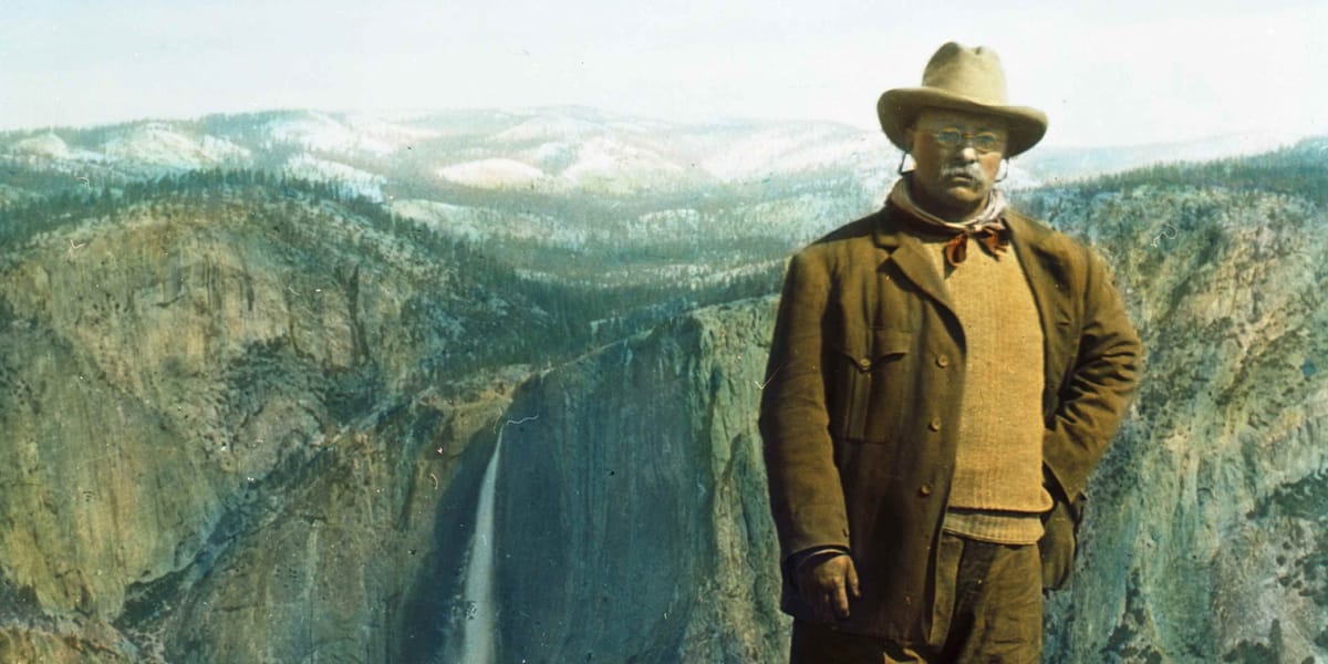 The Decline of the Presidency