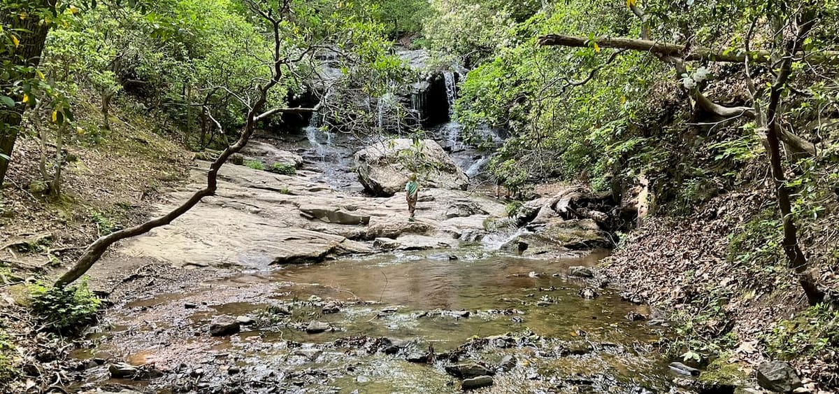 Waterfalls, Hiking, Dinner, Etc.