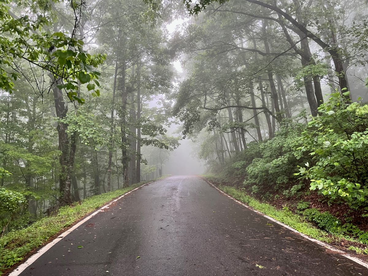 Inside the Clouds on Mt. Sanderlin