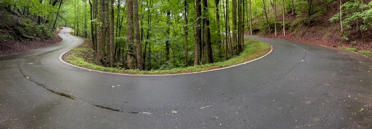 Twenty-Two Cartoons to Twenty-One
