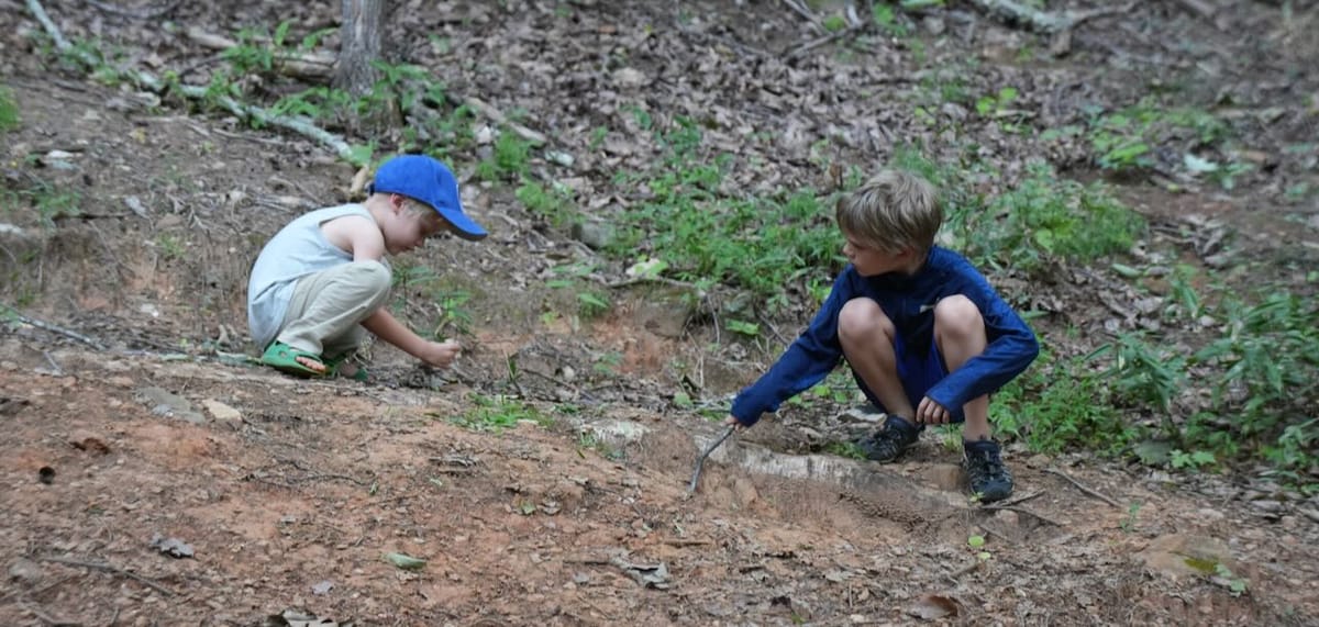 Existential Homeschooling Crisis